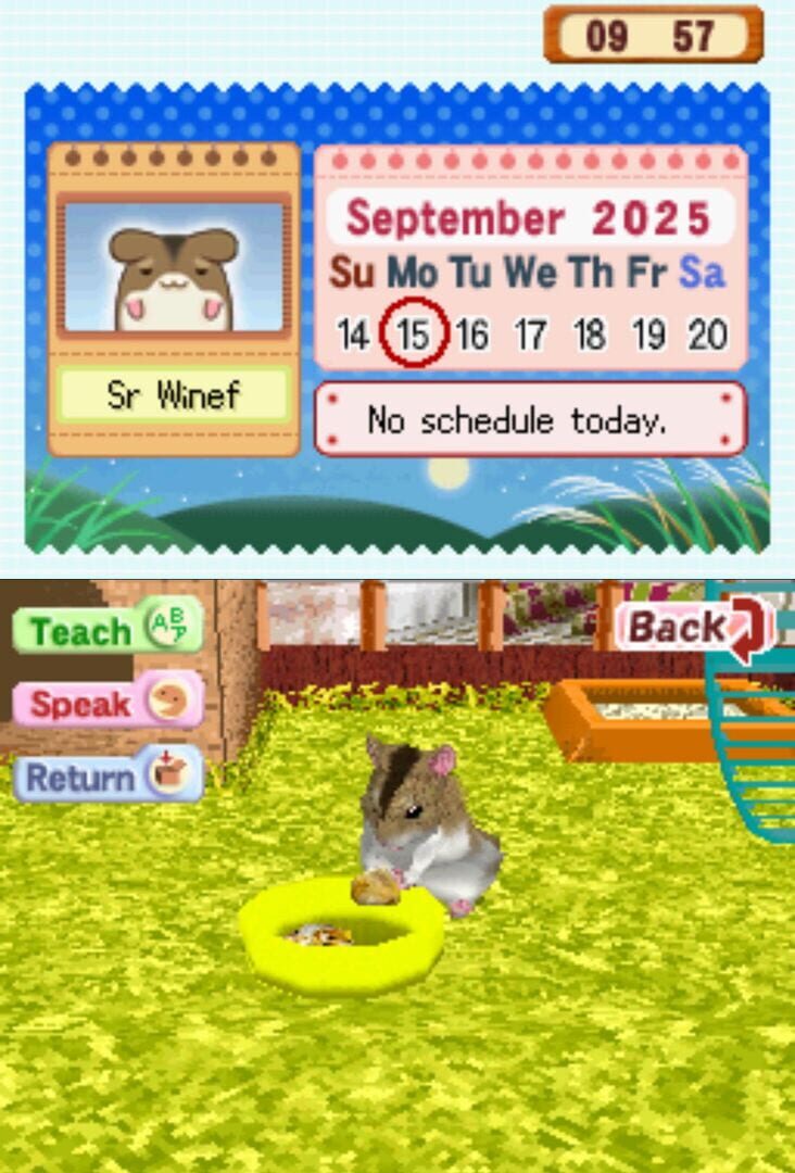 Foto do jogo Hamsterz Life