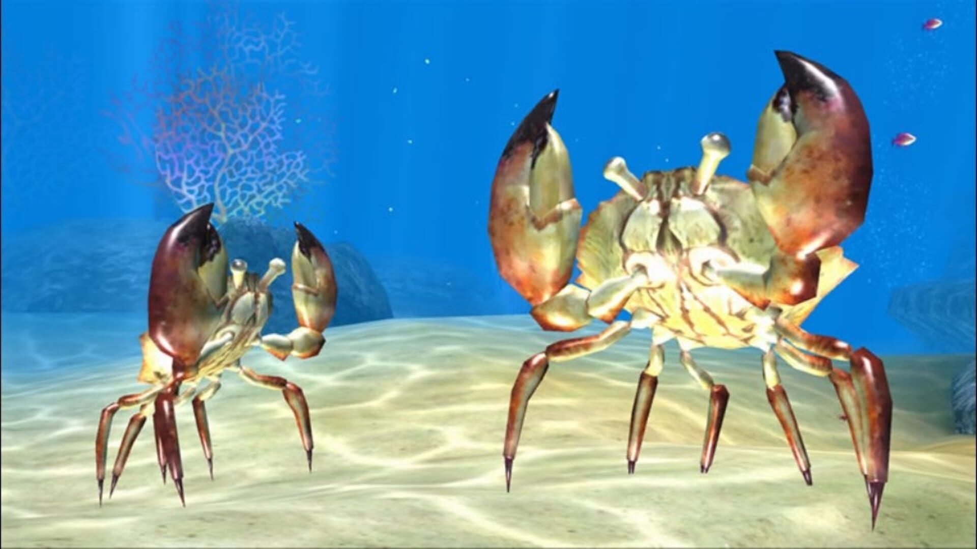 Foto do jogo Sealife Safari