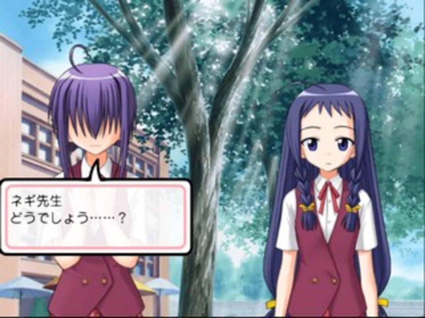 Foto do jogo Negima!? Magister Negi Magi: Dream Tactic Yumemiru Otome Princess