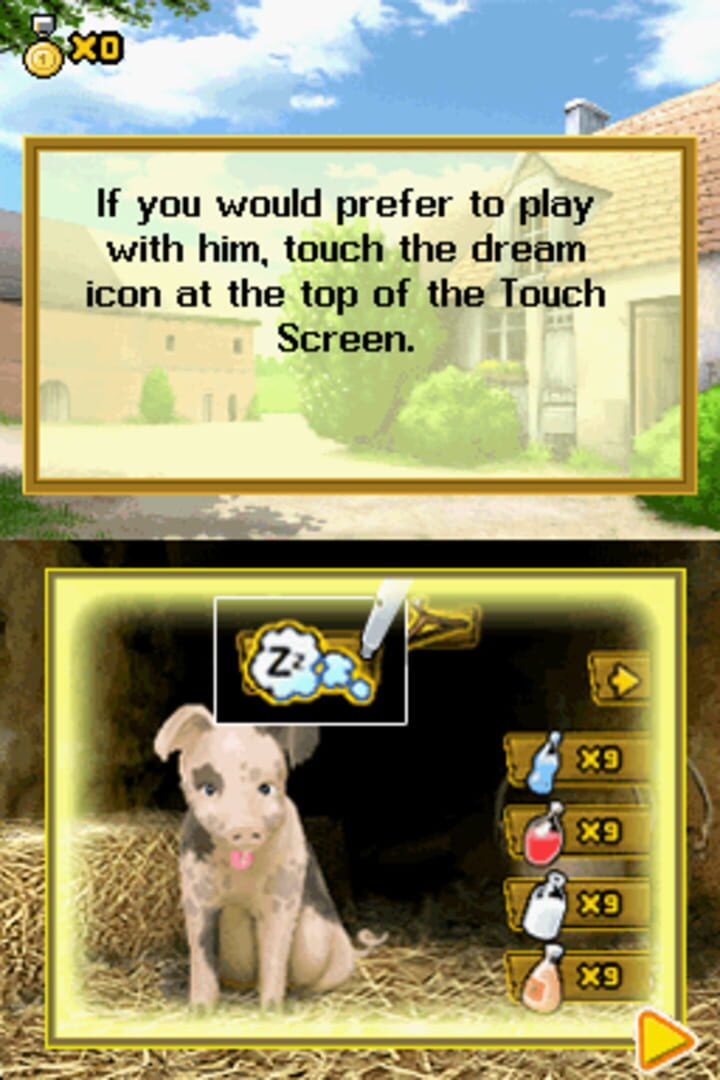 Foto do jogo Crazy Pig