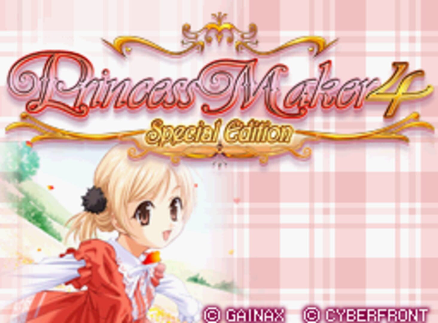 Foto do jogo Princess Maker 4 DS Special Edition