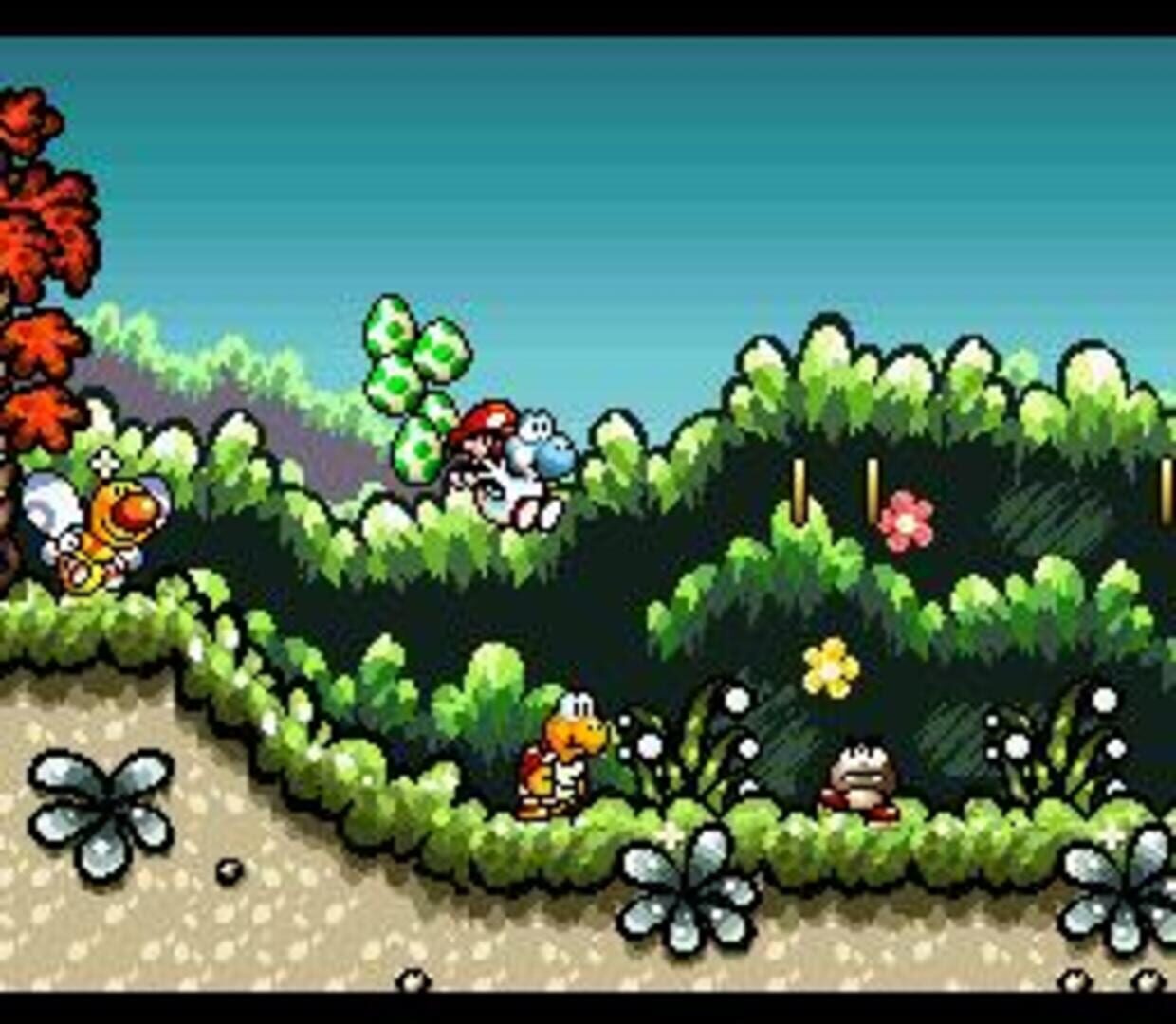 Foto do jogo SMW2+2