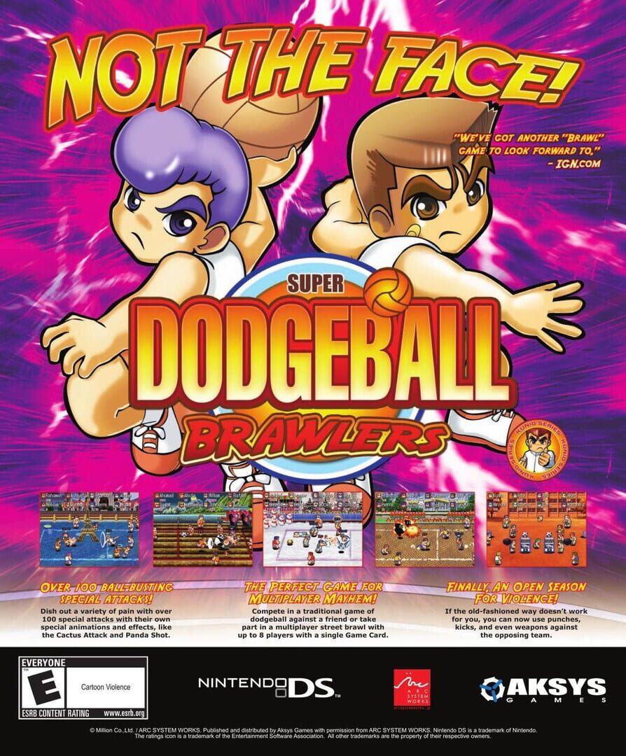 Foto do jogo Super Dodgeball Brawlers