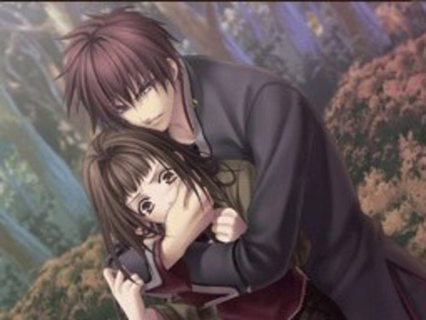 Foto do jogo Hiiro no Kakera DS