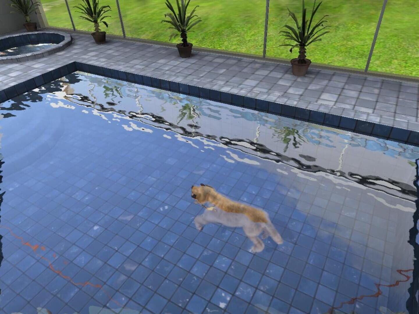 Foto do jogo Paws & Claws: Pampered Pets