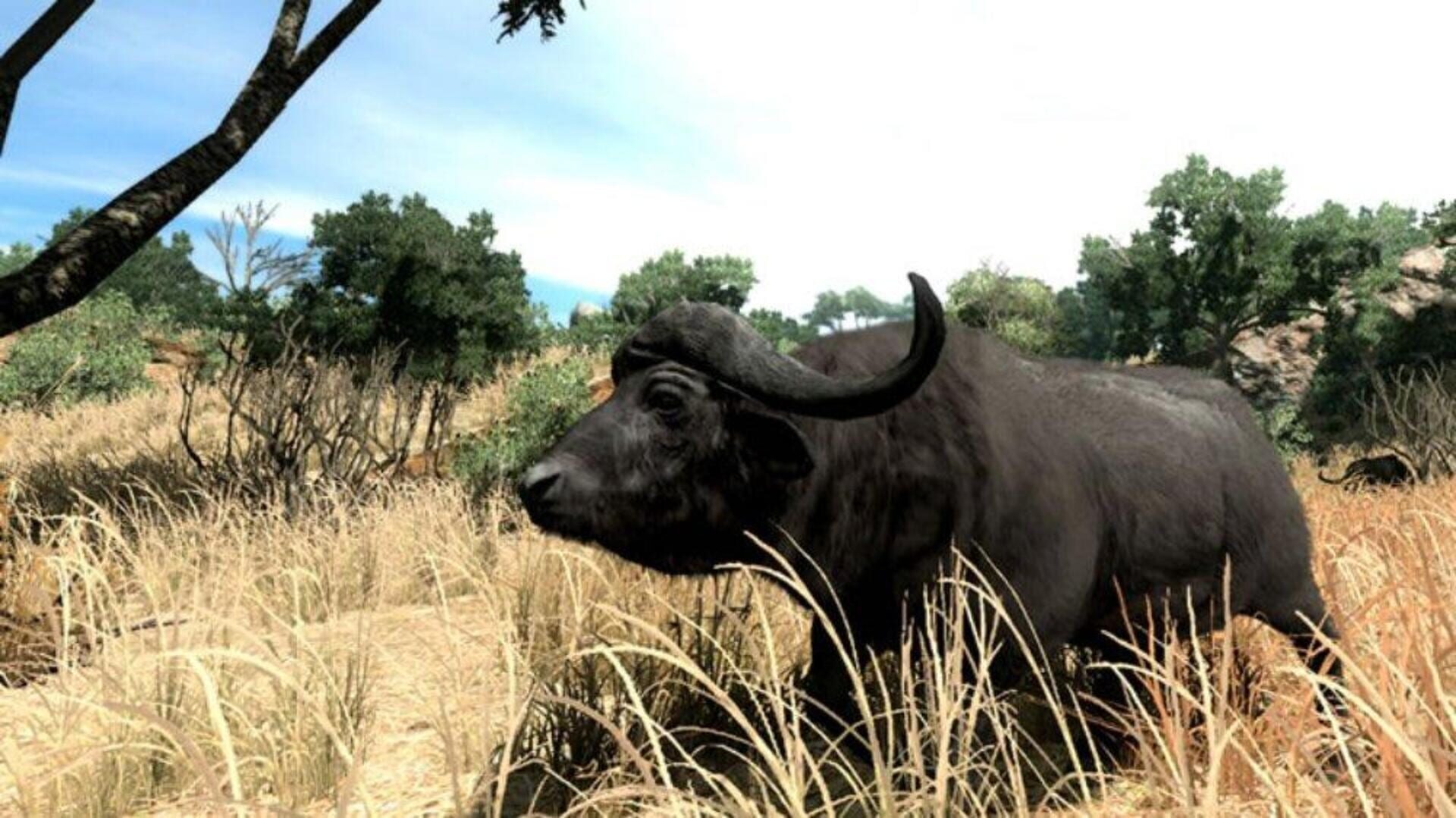 Foto do jogo Cabela's Big Game Hunter 2010