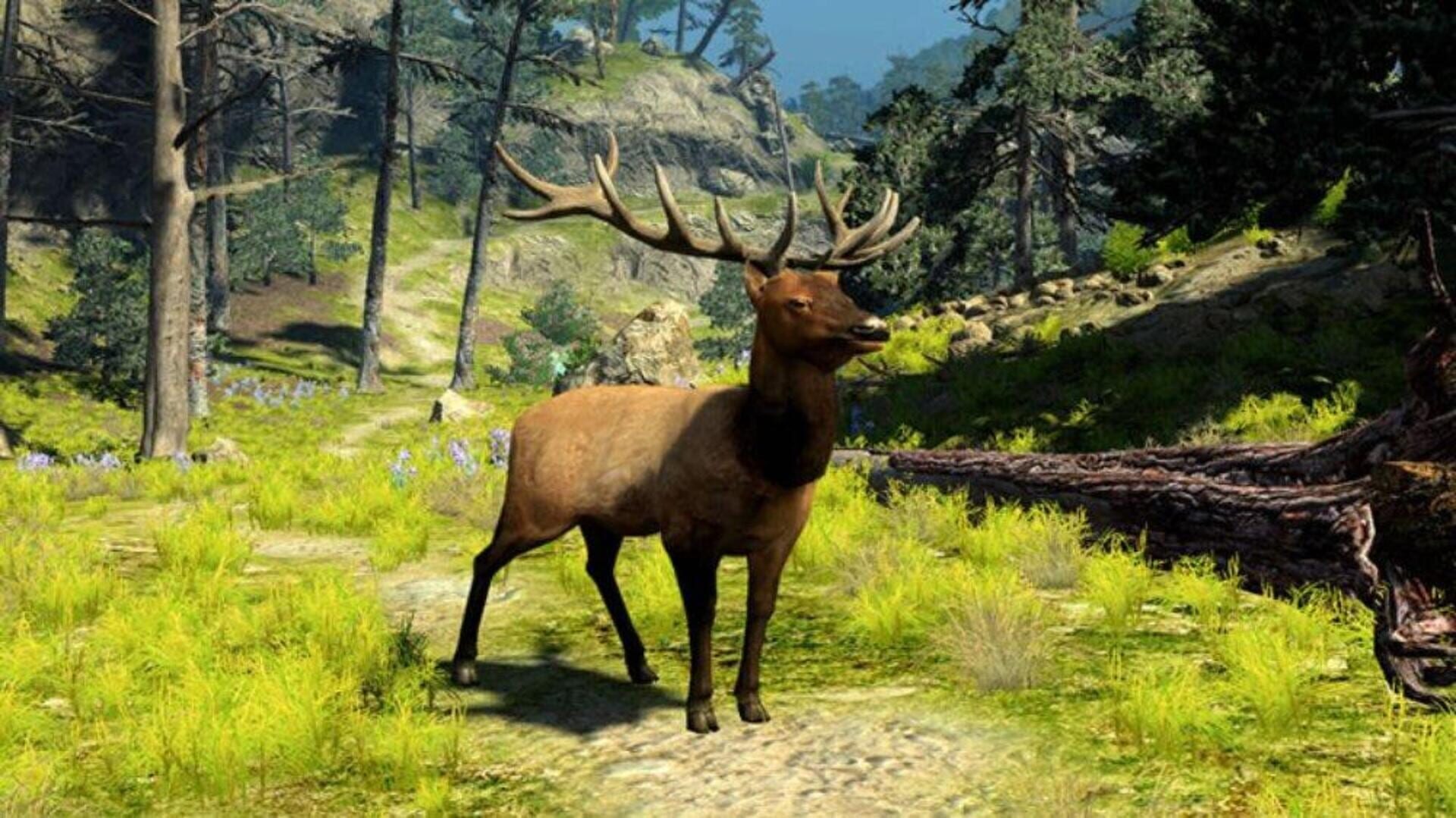 Foto do jogo Cabela's Big Game Hunter 2010