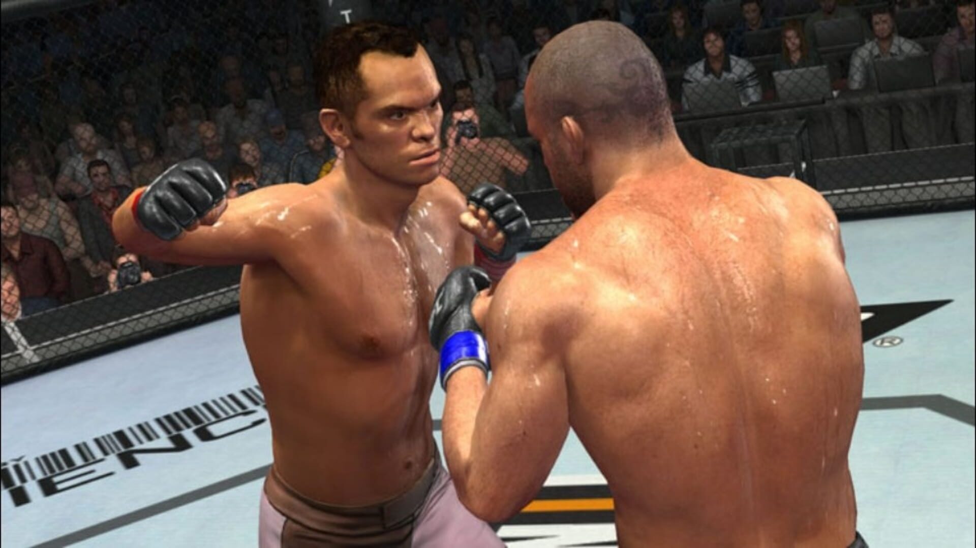 Foto do jogo UFC 2009 Undisputed
