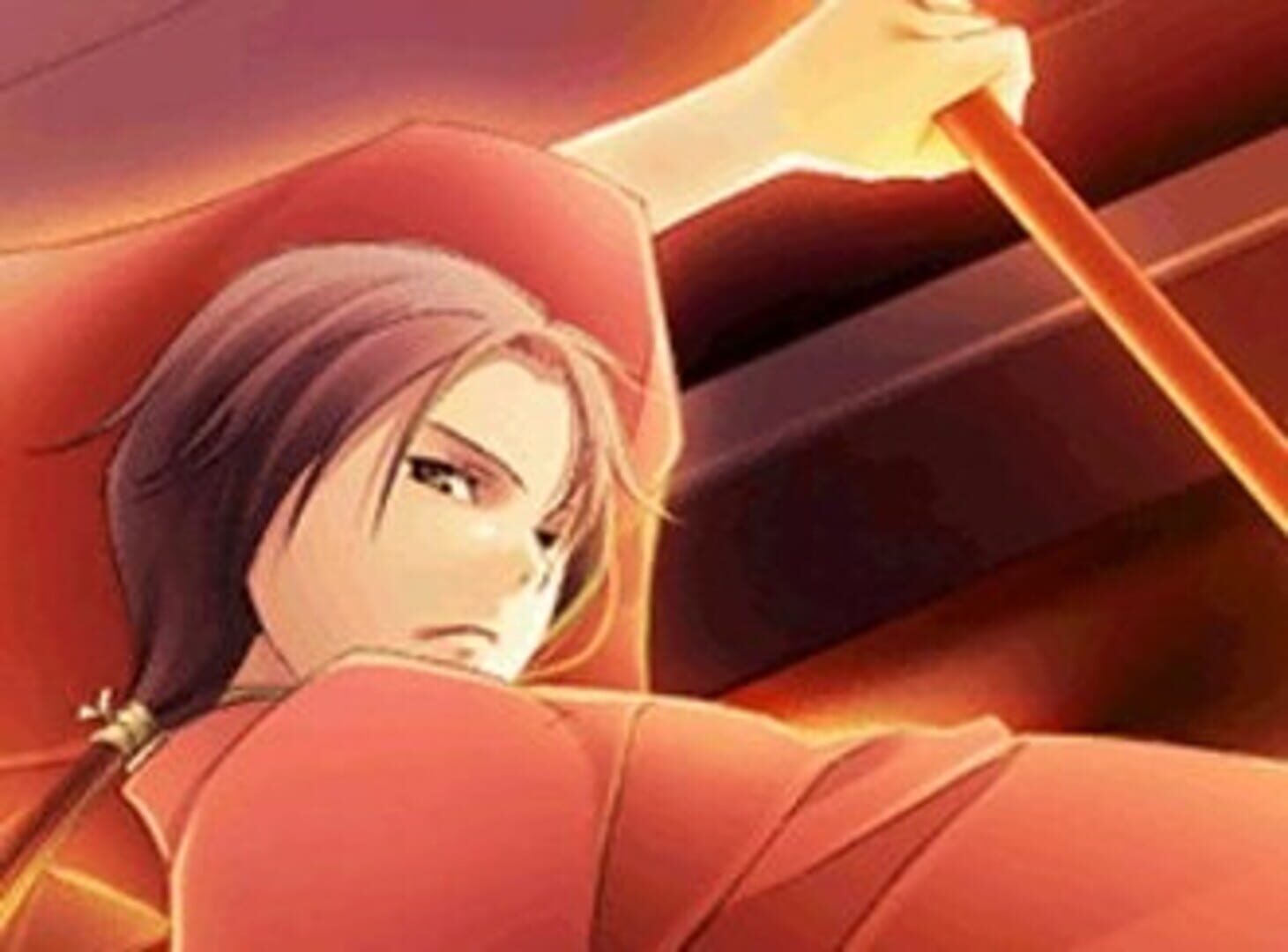 Foto do jogo Tenkaichi: Sengoku Lovers DS