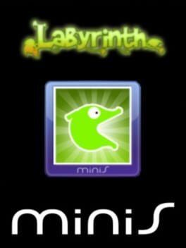 Foto do jogo Labyrinth