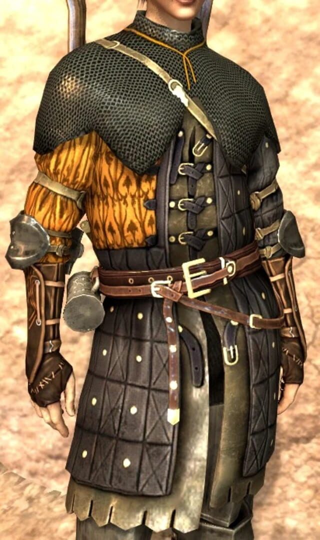 Foto do jogo Dragon Age II: Rogue Item Pack