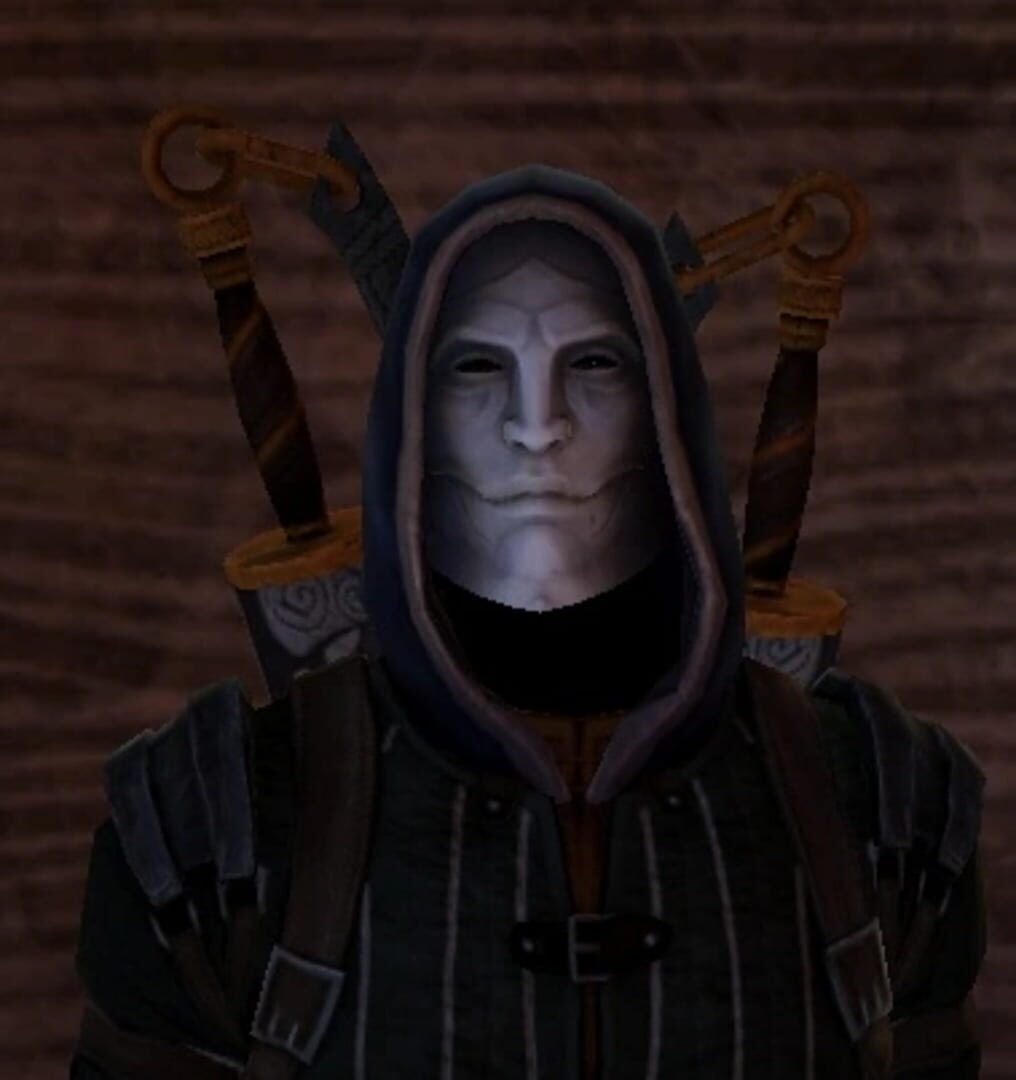 Foto do jogo Dragon Age II: Mage Item Pack