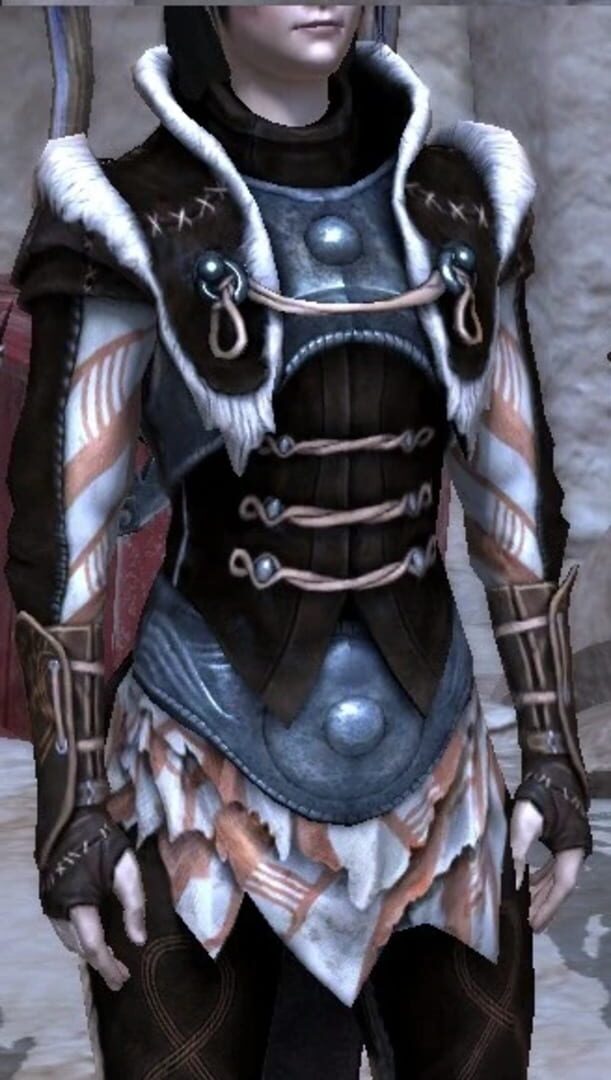 Foto do jogo Dragon Age II: Rogue Item Pack II