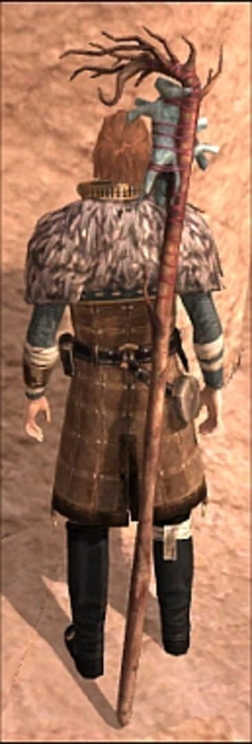 Foto do jogo Dragon Age II: Mage Item Pack II