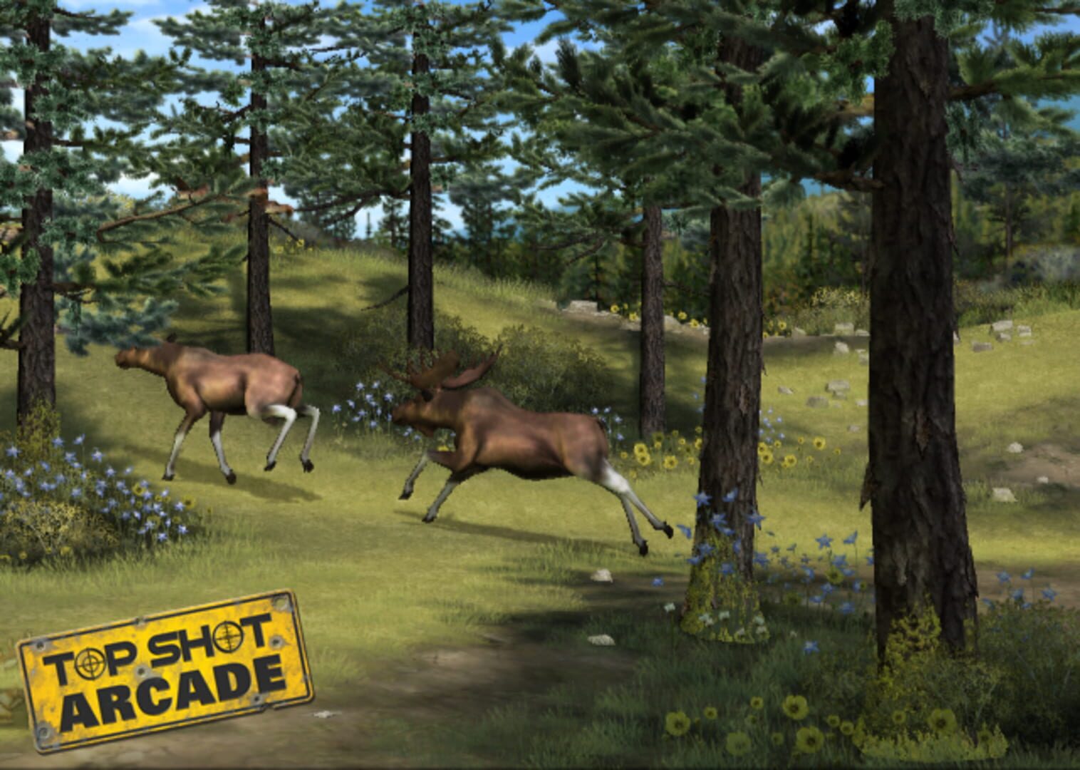 Foto do jogo Top Shot: Arcade