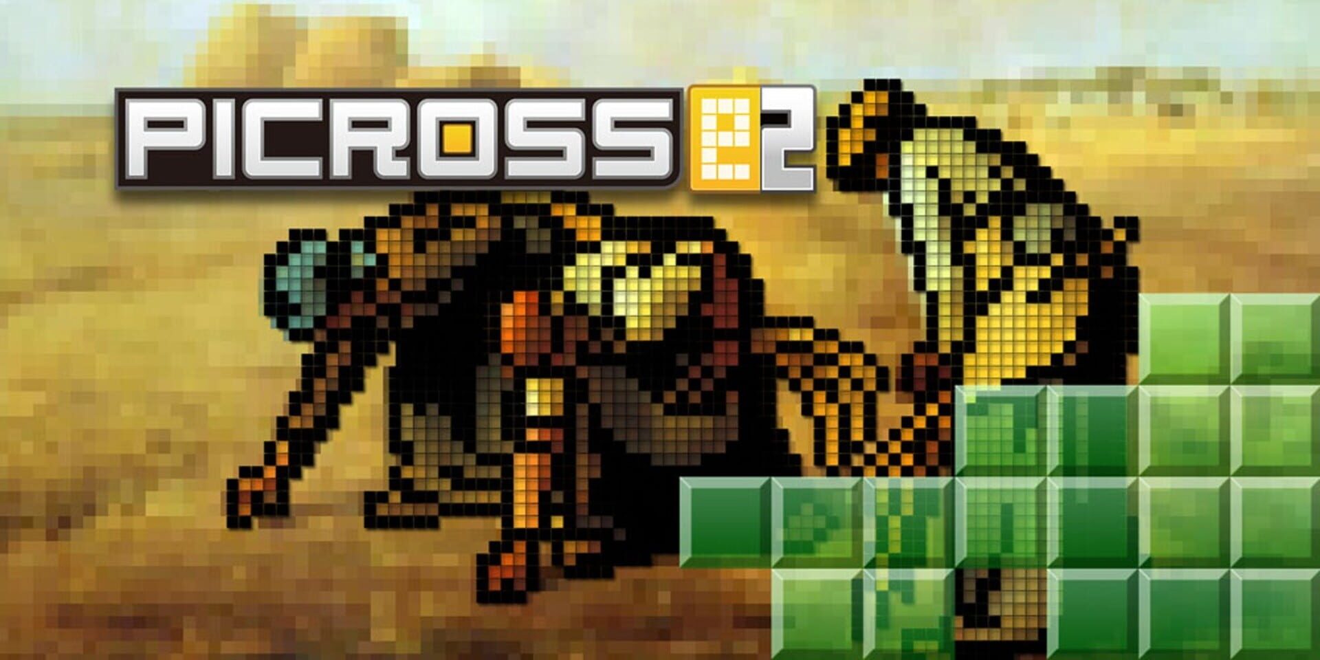Foto do jogo Picross e2