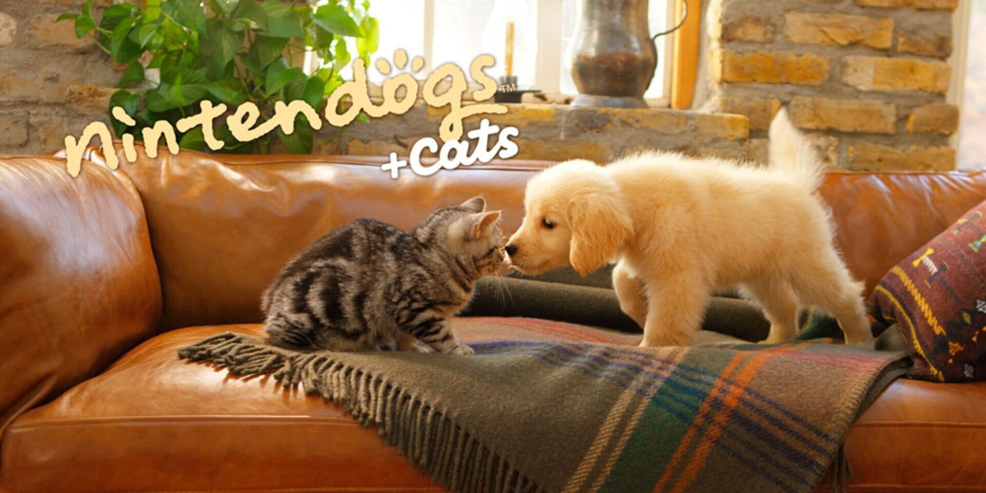 Foto do jogo Nintendogs + Cats: French Bulldog & New Friends