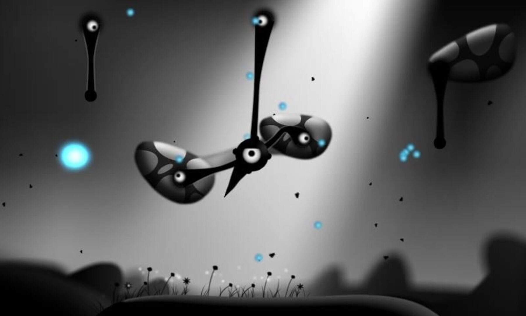Foto do jogo Contre Jour