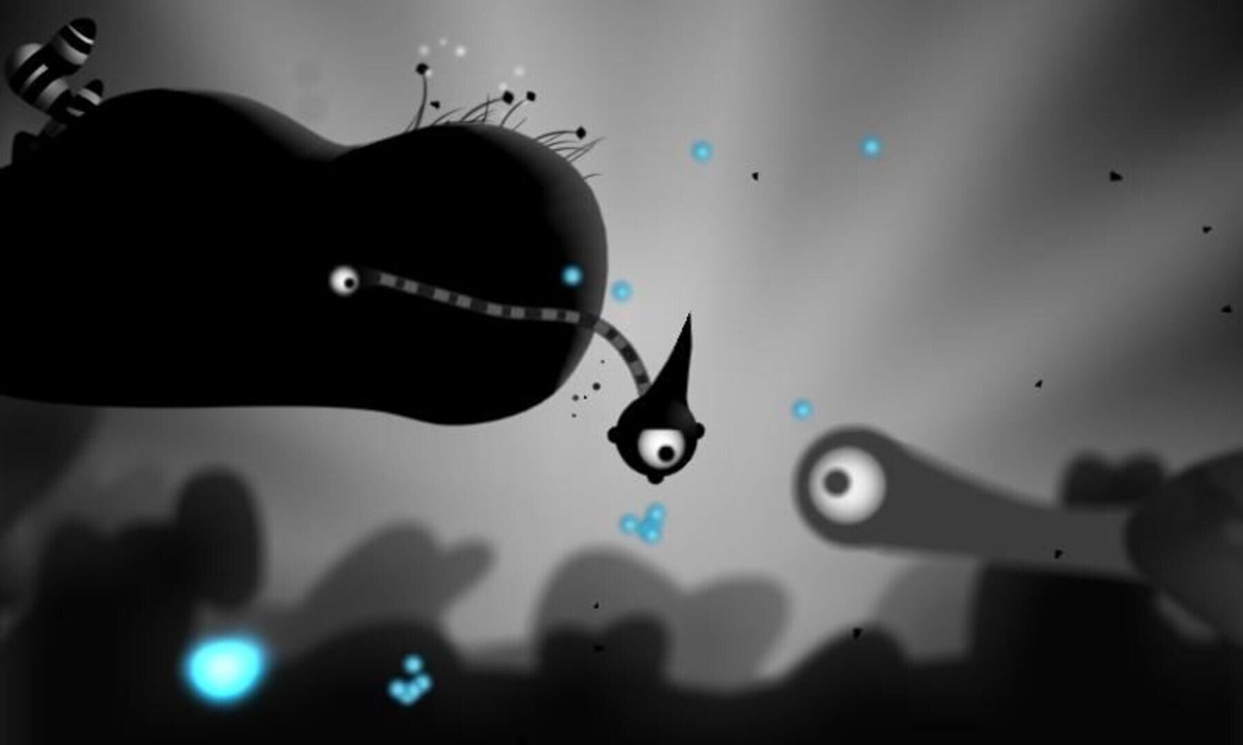 Foto do jogo Contre Jour