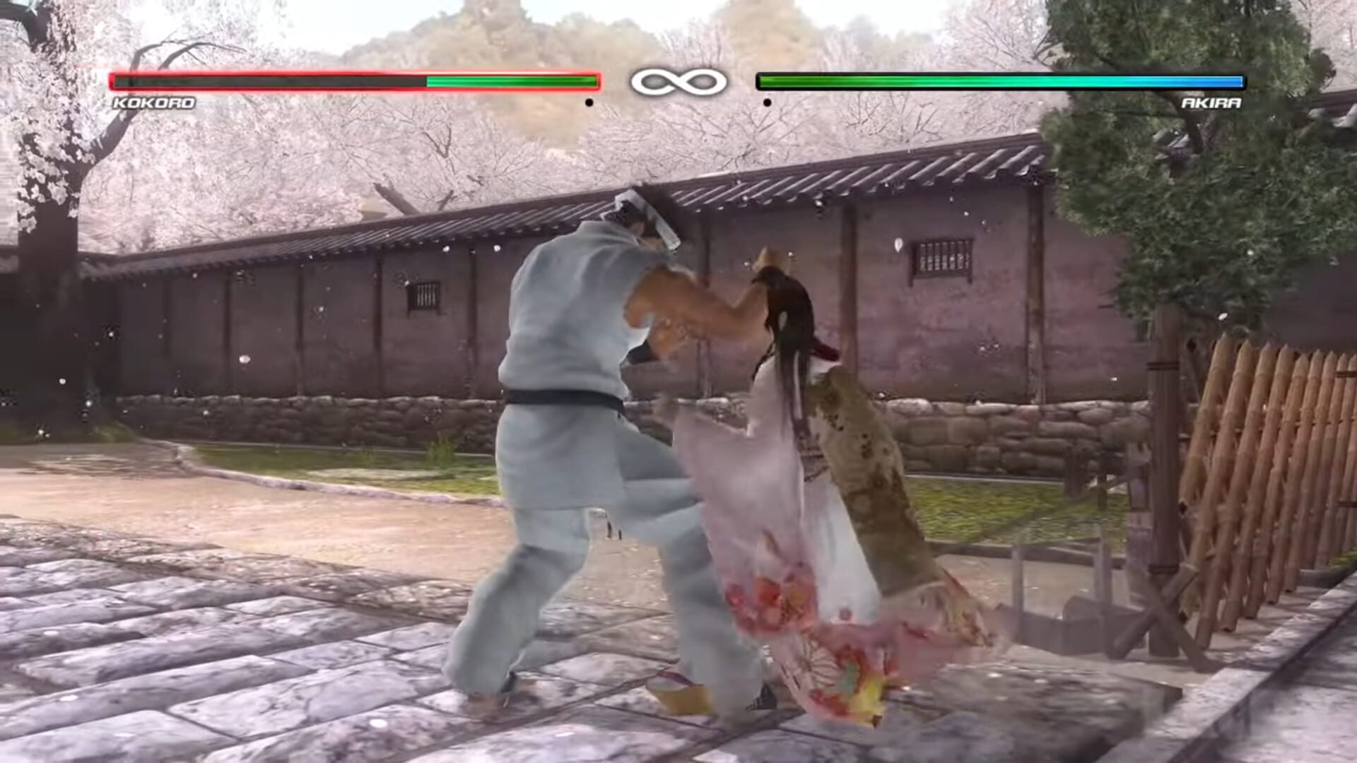 Foto do jogo Dead or Alive 5: Collector's Edition