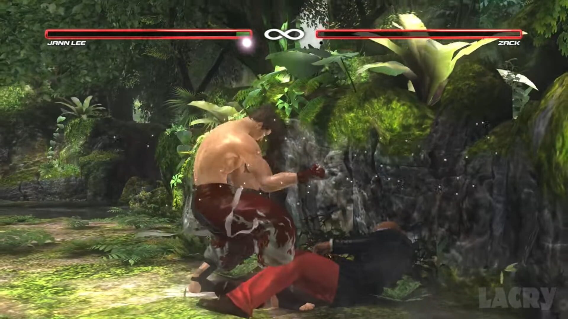 Foto do jogo Dead or Alive 5: Collector's Edition