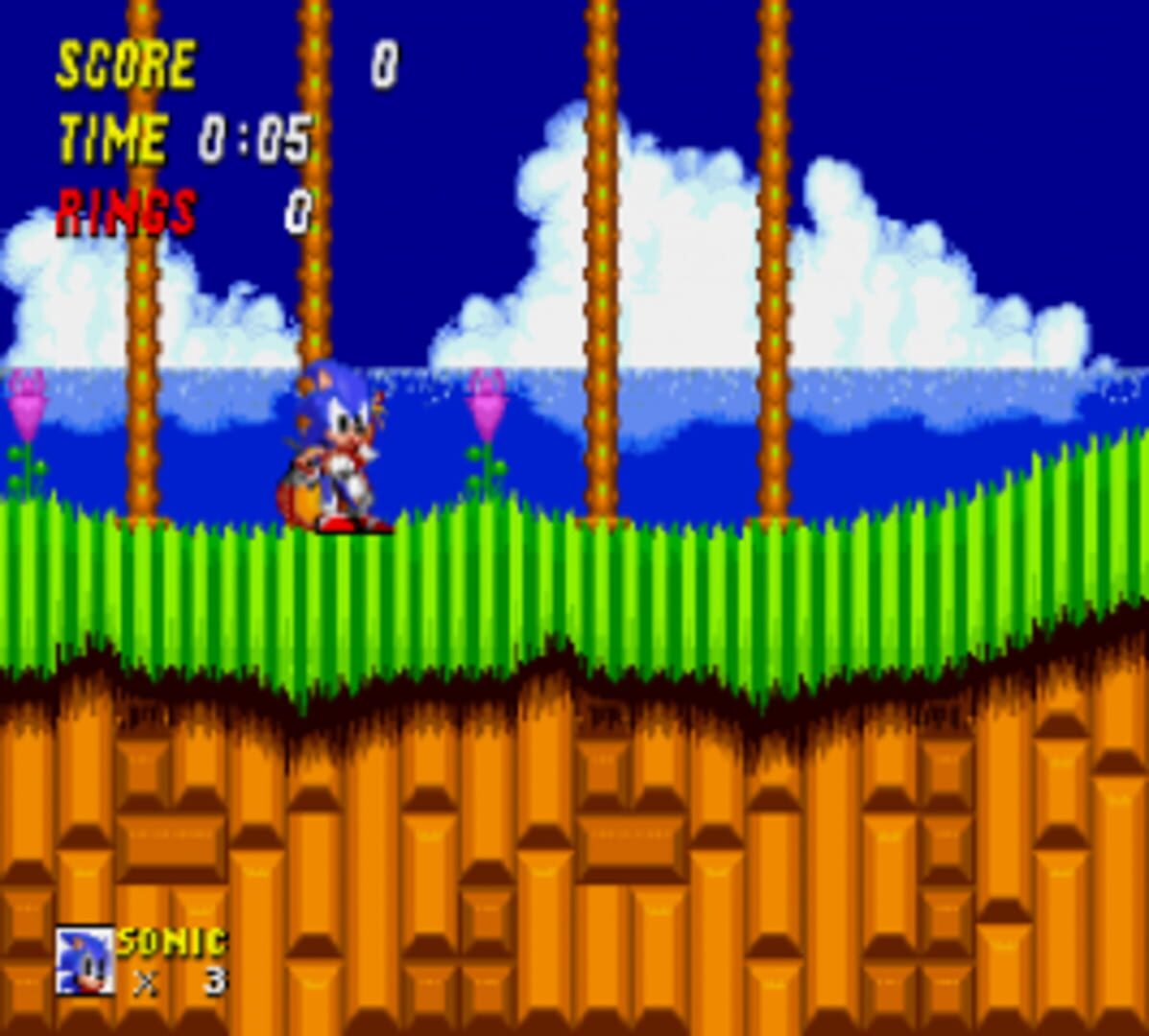 Foto do jogo Sonic the Hedgehog 2: Hold Right to Win Edition