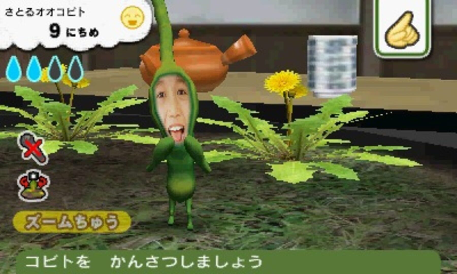 Foto do jogo Kobito-zukan: Kobito Kansatsu Set