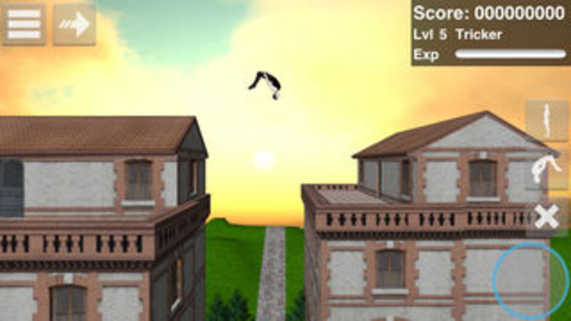 Foto do jogo Backflip Madness