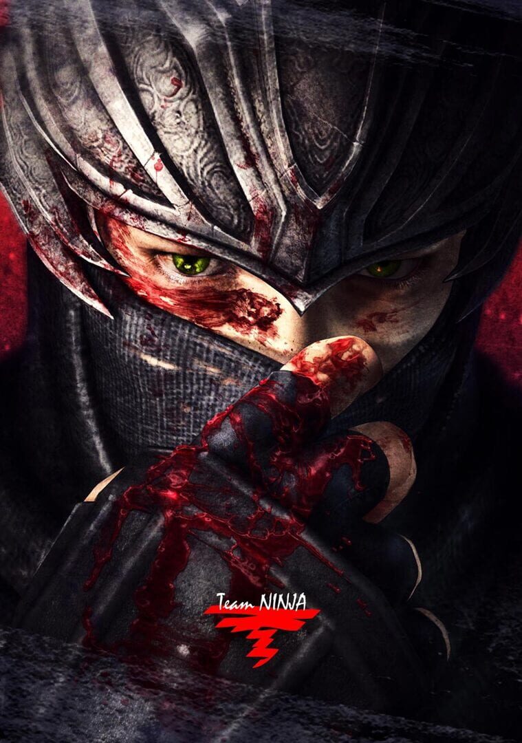 Foto do jogo Ninja Gaiden 3