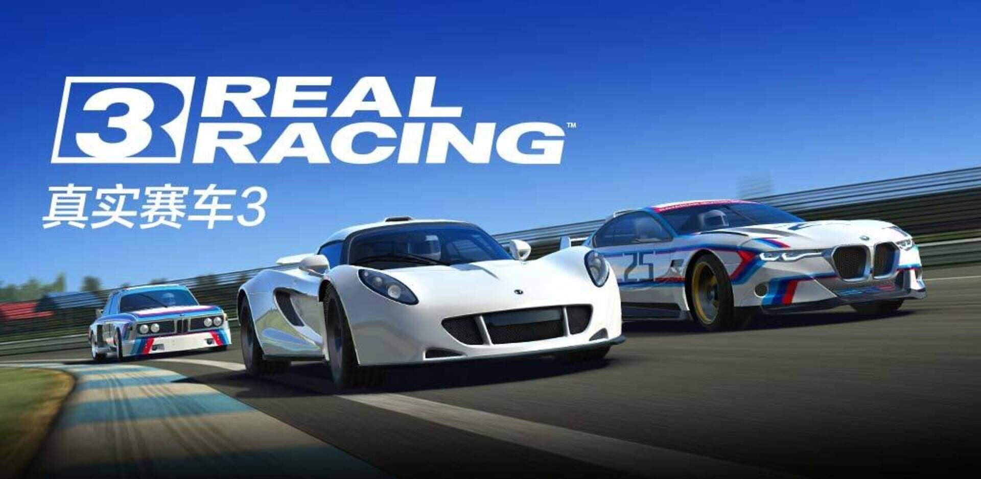Foto do jogo Real Racing 3