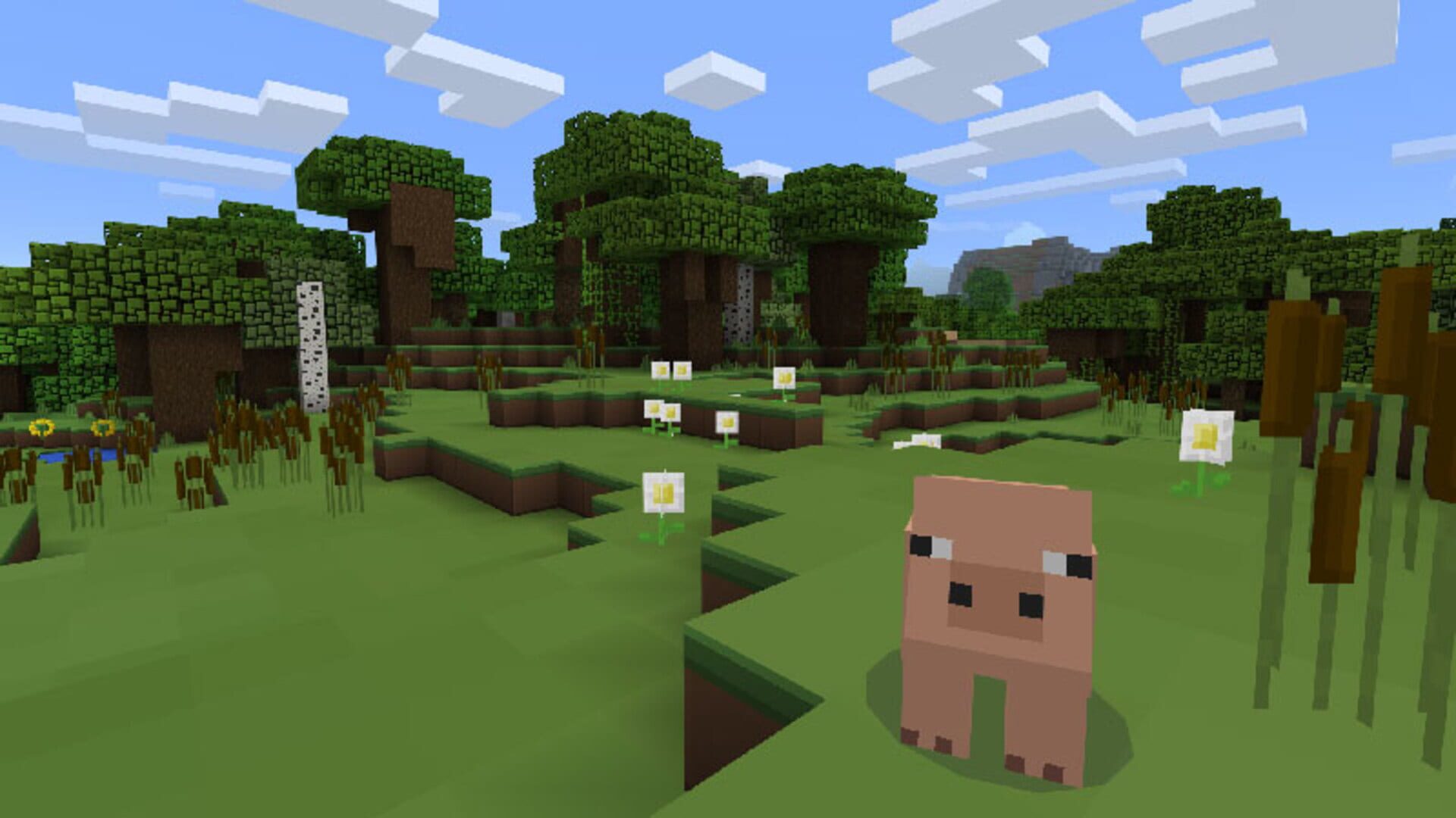 Foto do jogo Minecraft: Plastic Texture Pack
