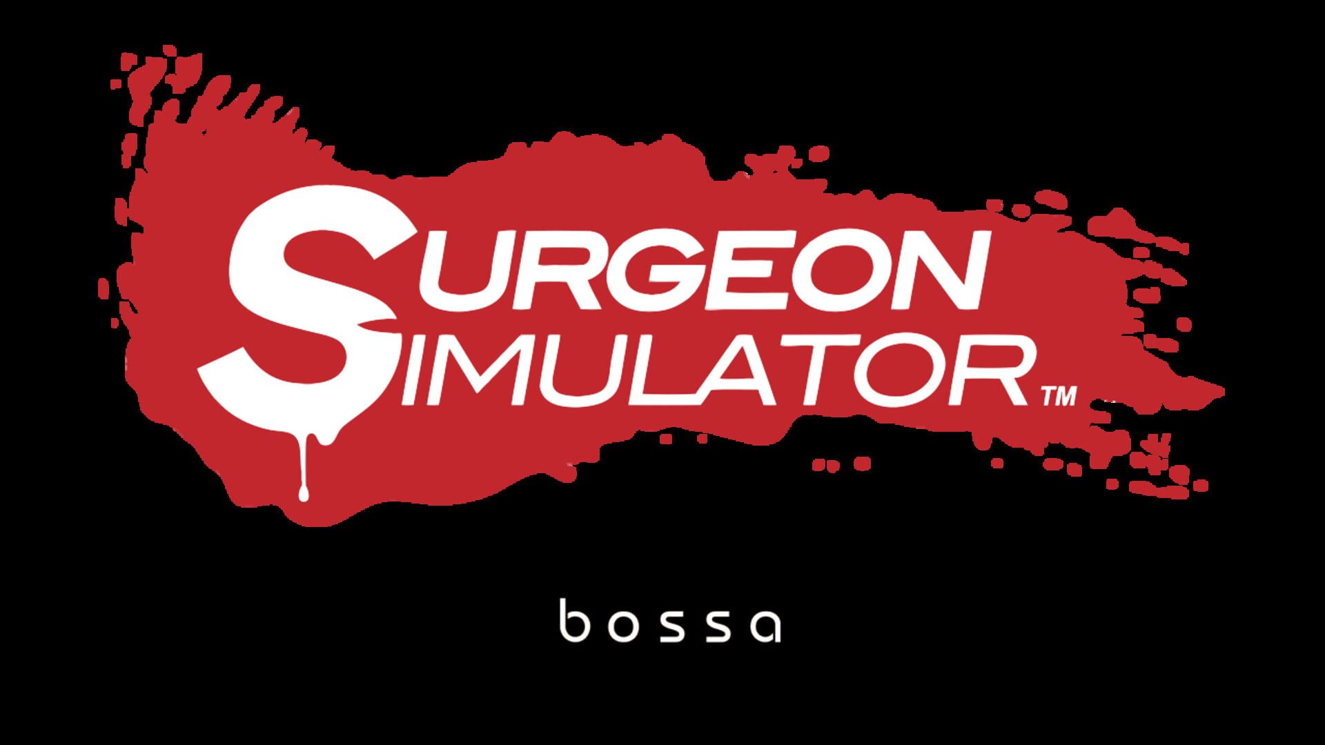 Foto do jogo Surgeon Simulator 2013