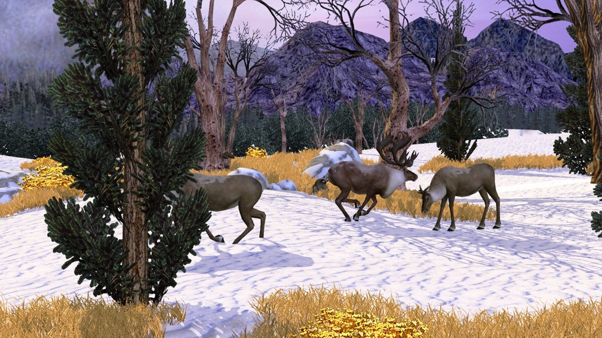 Foto do jogo Big Buck Hunter Pro Adventure