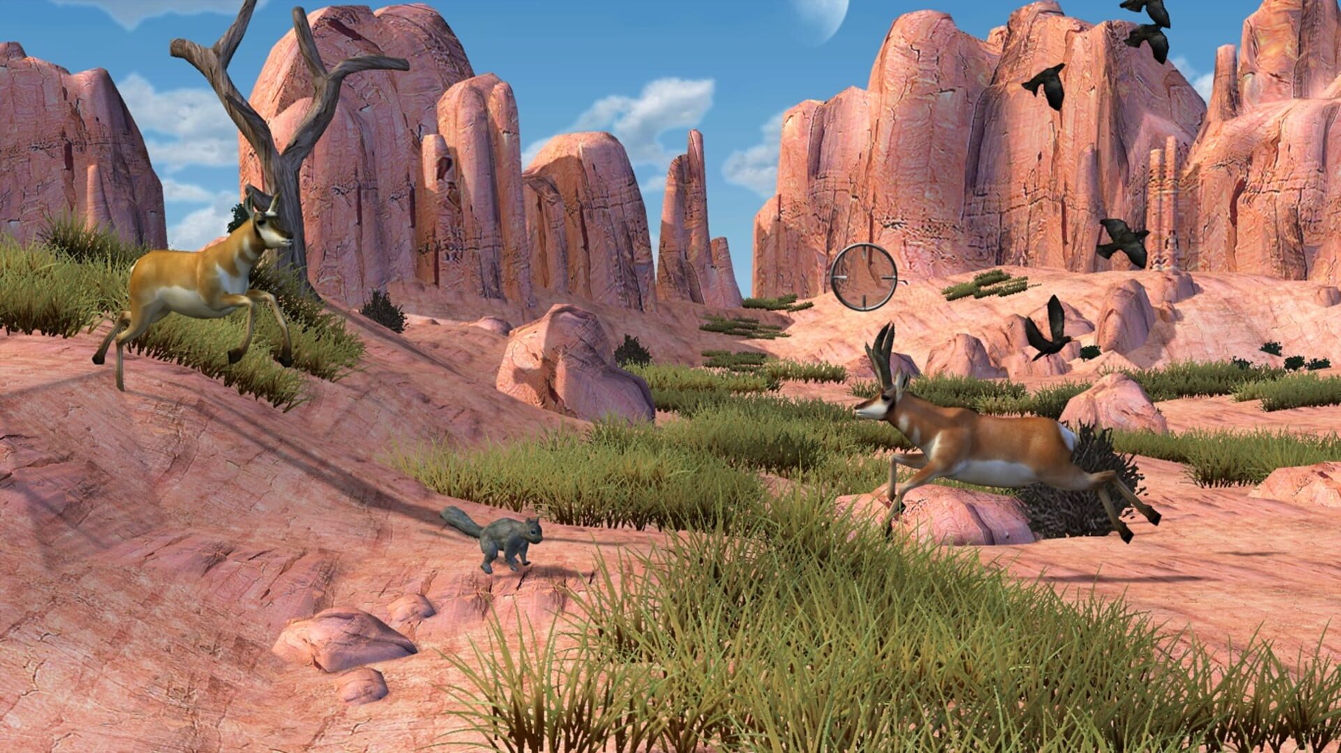 Foto do jogo Big Buck Hunter Pro Adventure