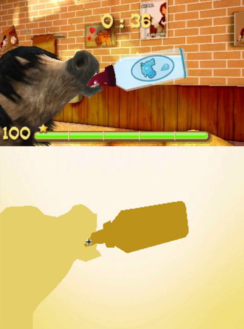 Foto do jogo My Foal 3D