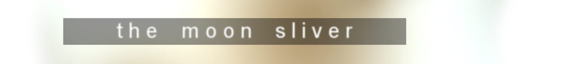Foto do jogo The Moon Sliver