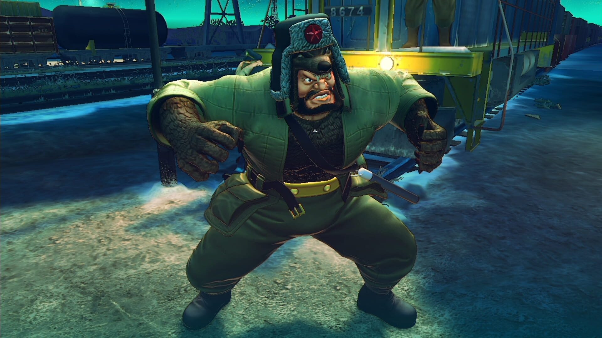 Foto do jogo Ultra Street Fighter IV: Brawler Wild Pack