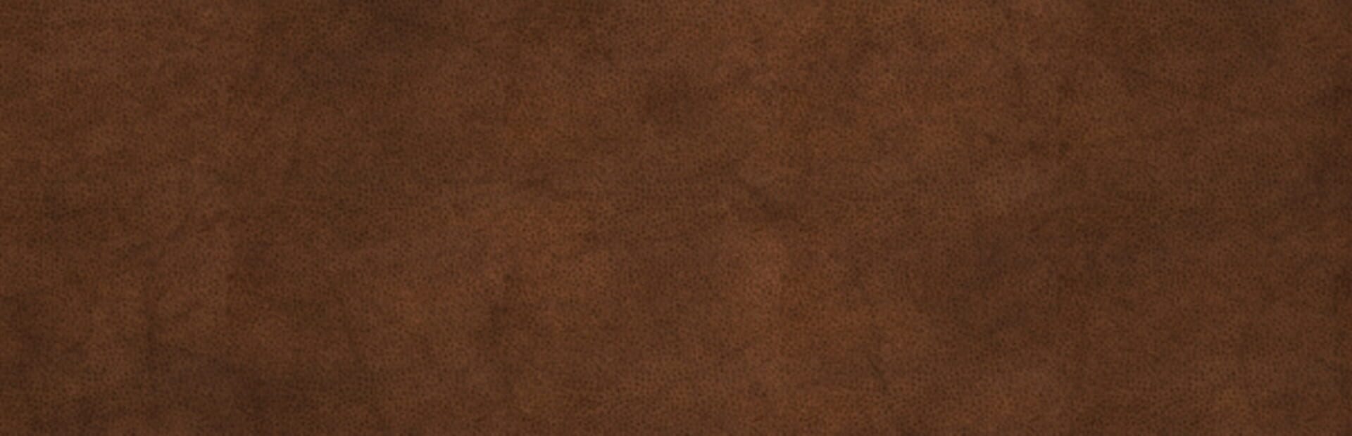 Foto do jogo Gold Rush! Classic