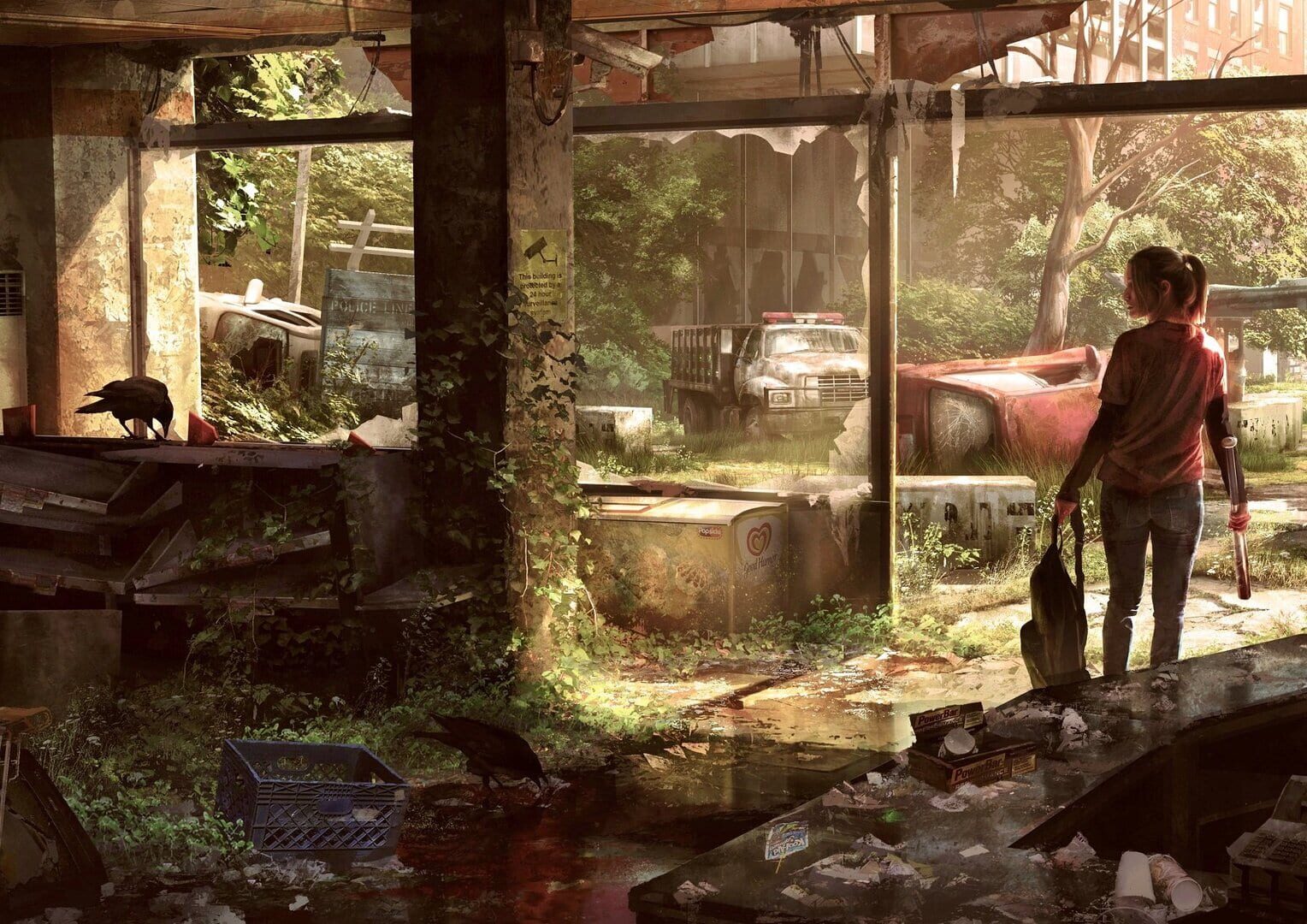 Foto do jogo The Last of Us Remastered