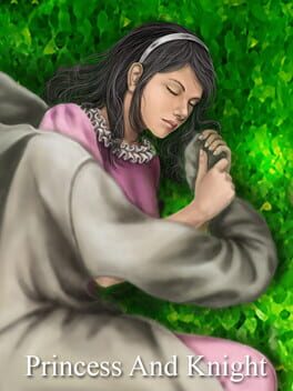 Foto do jogo Princess and Knight