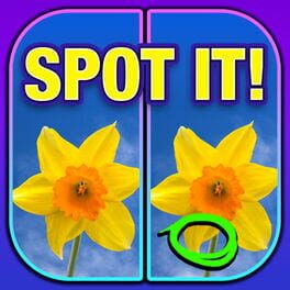 Foto do jogo What's the Difference? Spot It