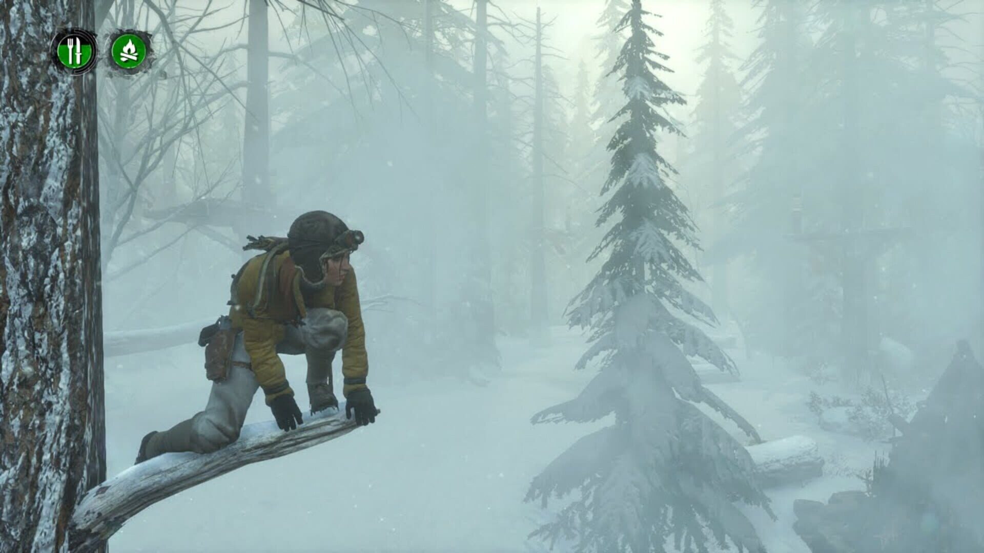 Foto do jogo Rise of the Tomb Raider: Endurance Mode