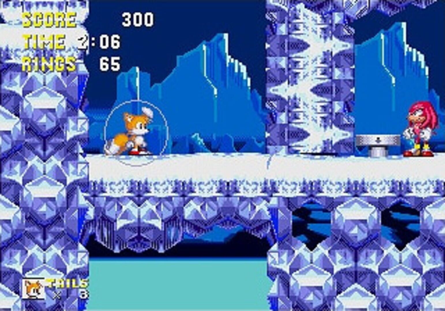 Foto do jogo Sonic 3: D.A. Garden Edition
