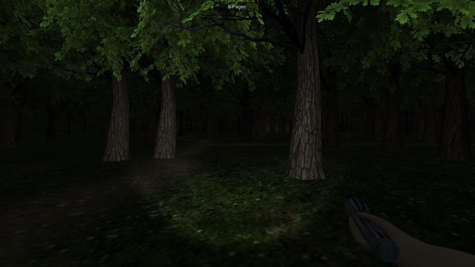 Foto do jogo The Dawn Of Slenderman