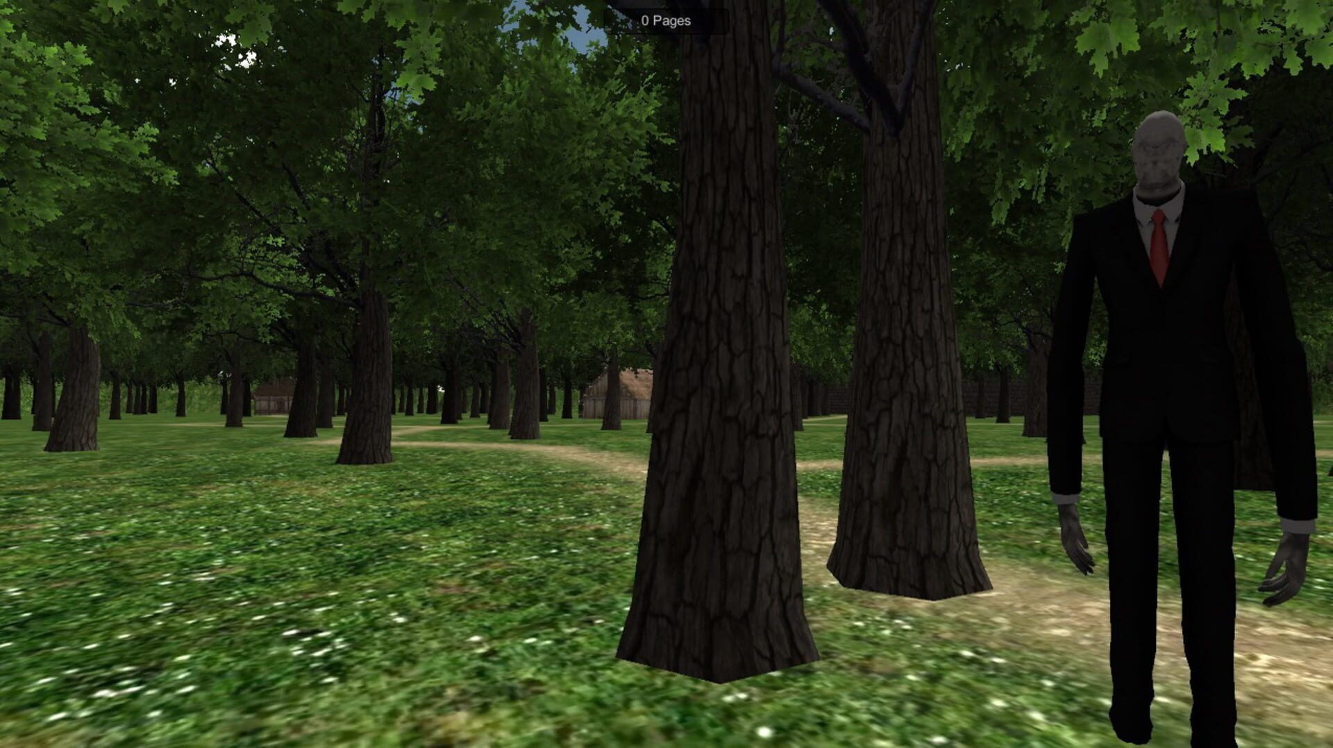 Foto do jogo The Dawn Of Slenderman