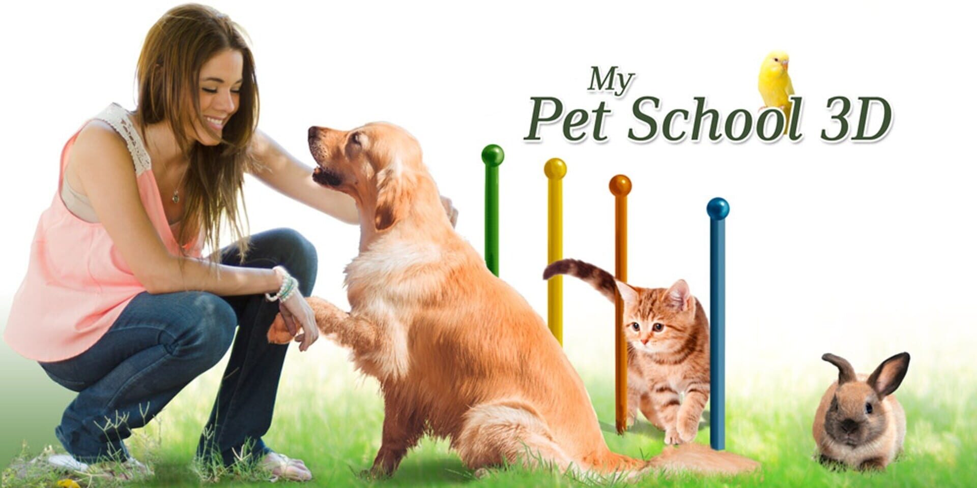Foto do jogo My Pet School 3D