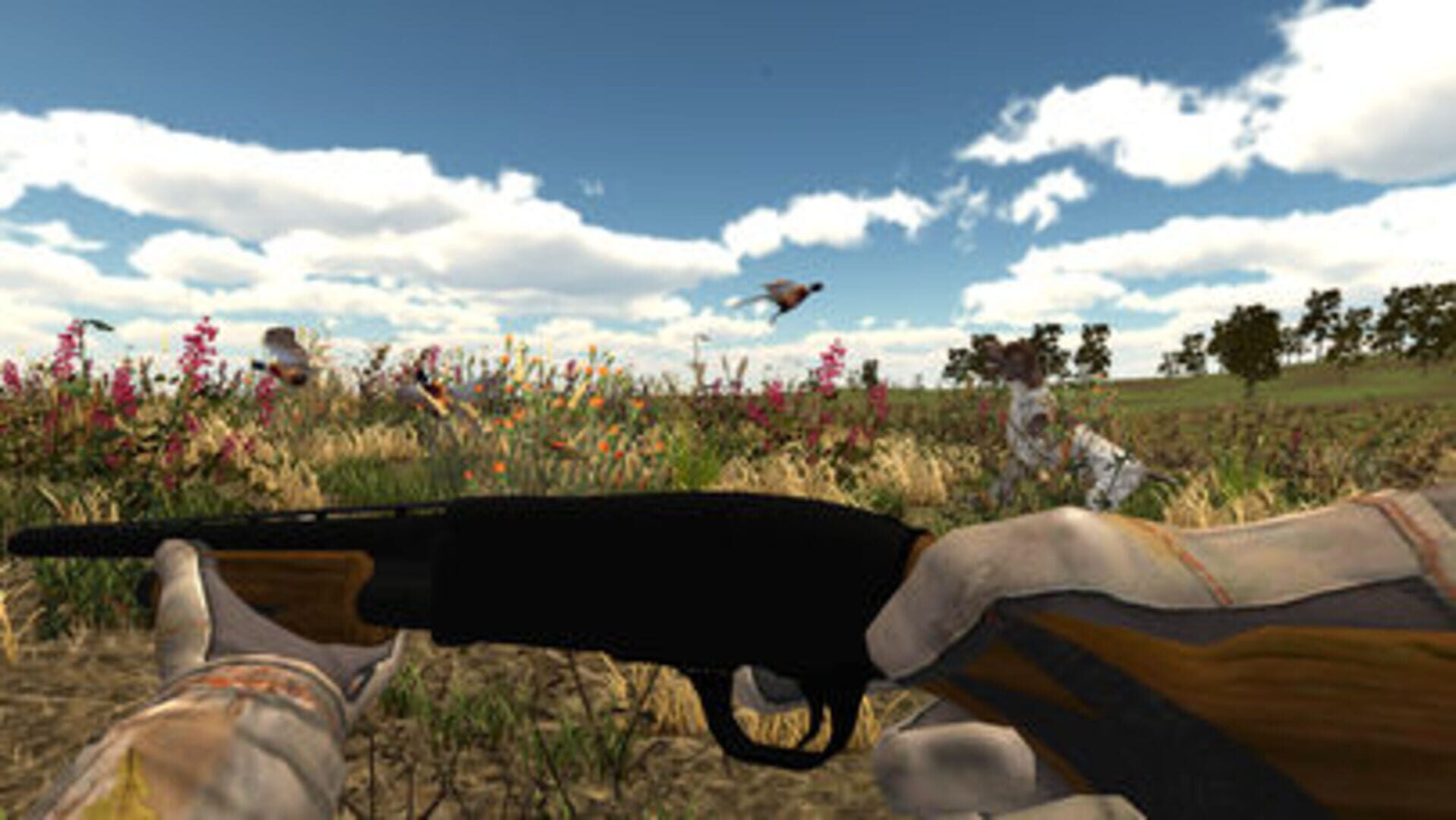 Foto do jogo Hunting USA