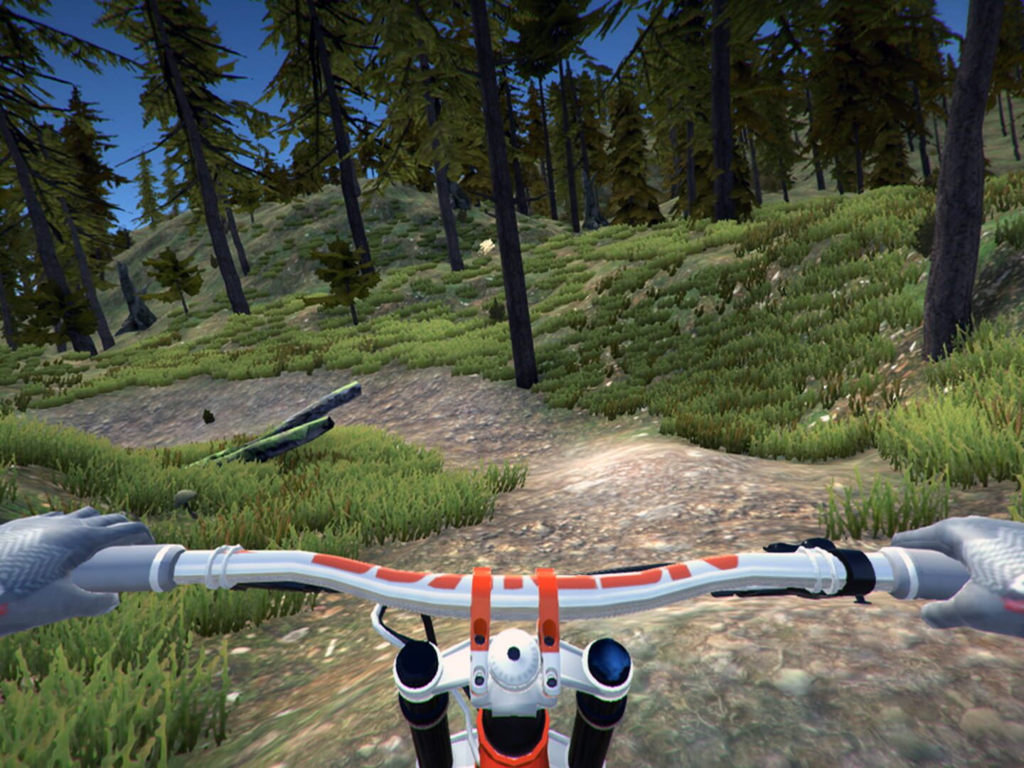 Foto do jogo MTB Downhill Simulator