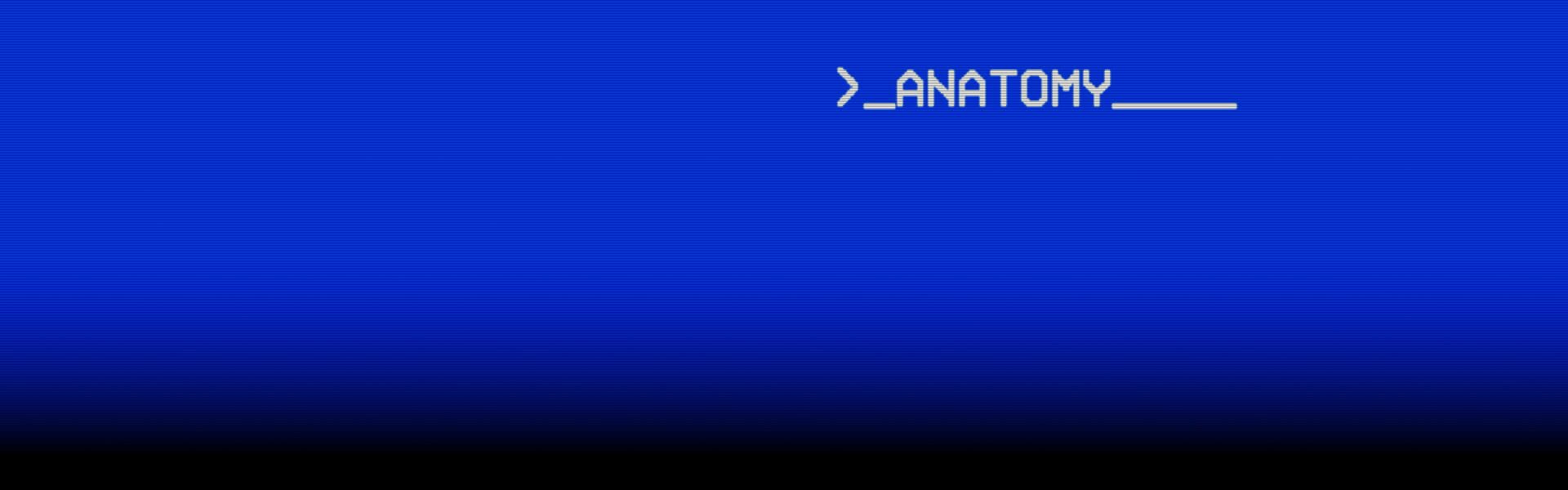 Foto do jogo Anatomy