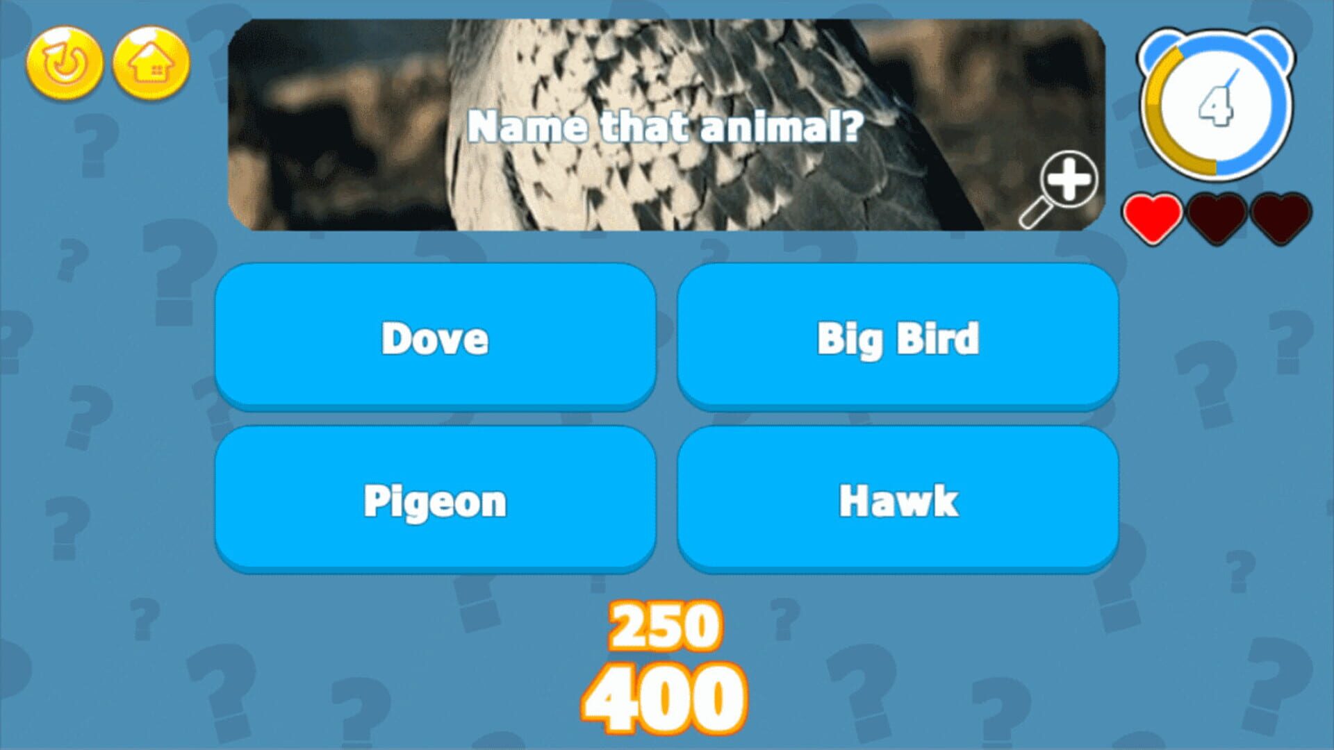 Foto do jogo Trivia King